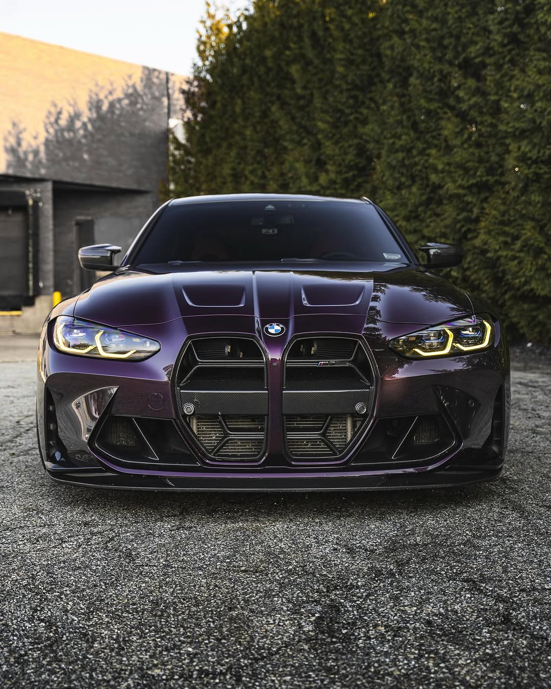 CSL Style Carbon Grill für BMW M3/M4 (G80,G81,G82,G83)